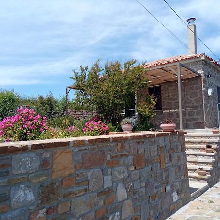 Cozy House With Amazing Sea View Lejlighed Kaminia  Eksteriør billede