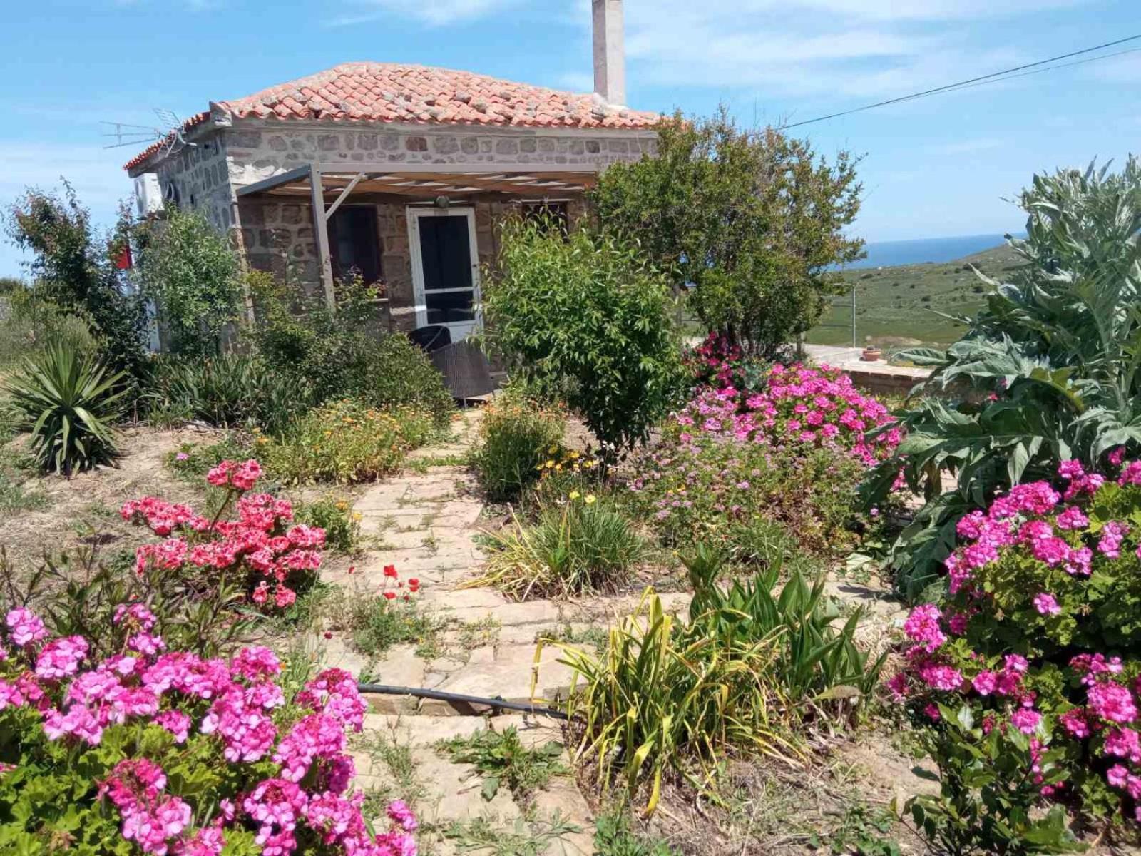 Cozy House With Amazing Sea View Lejlighed Kaminia  Eksteriør billede